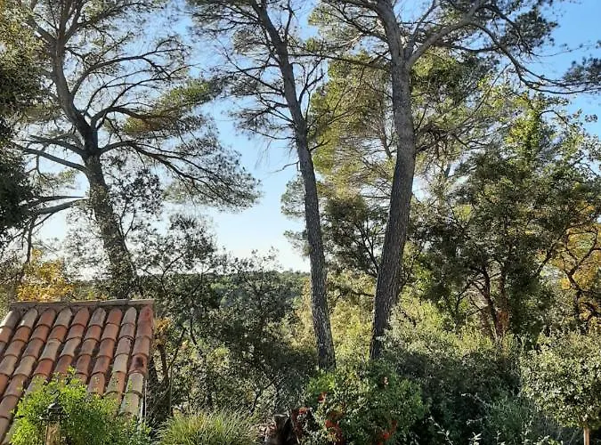 Le Lavandin