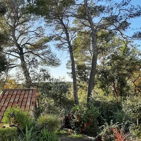 Le Lavandin Flayosc Exterior foto